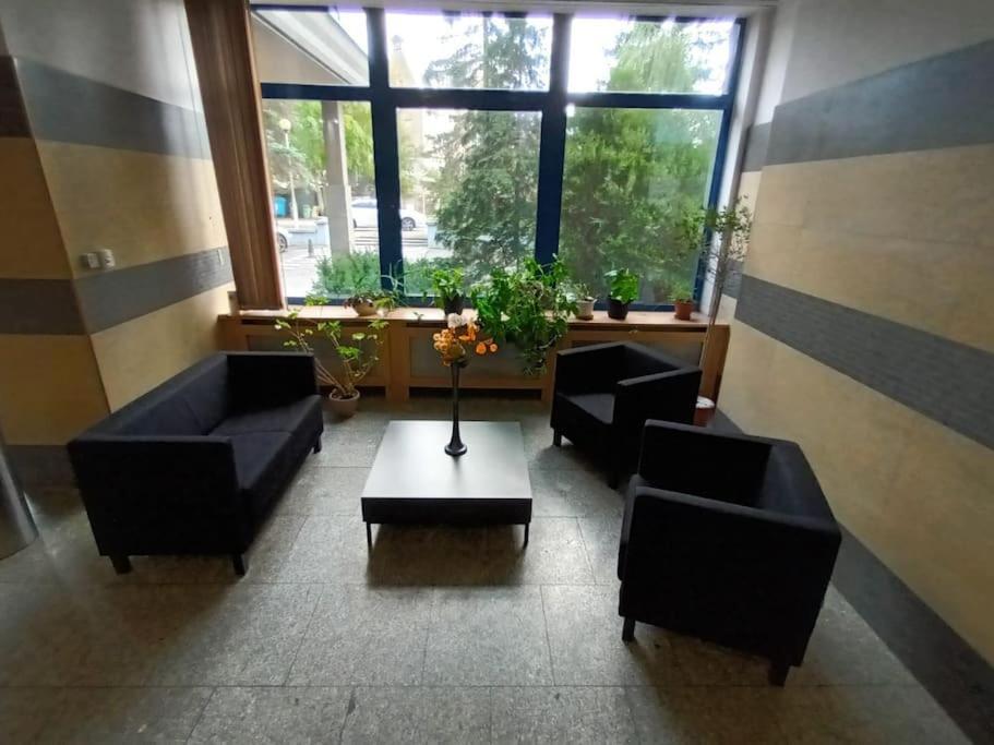 Apartment Fantastic Zg - S4 207 Zielona Gora (Lubuskie)